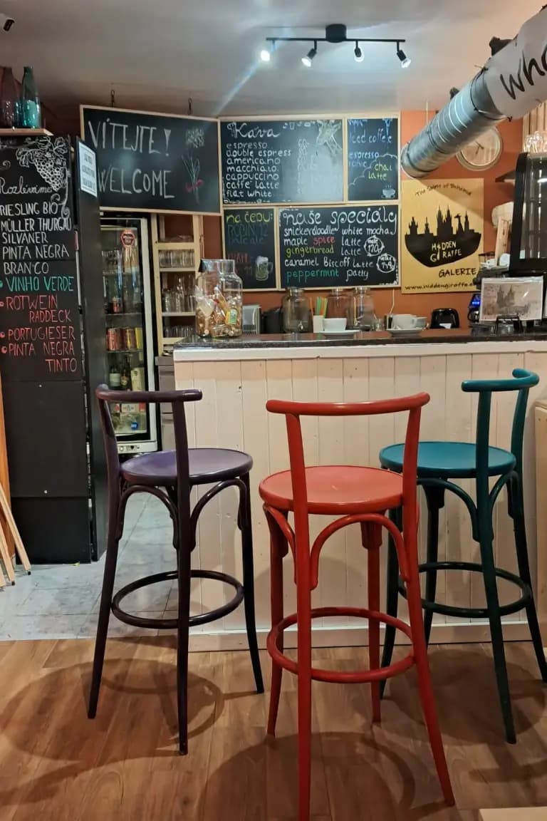 Hidden Giraffe café — Bar 1