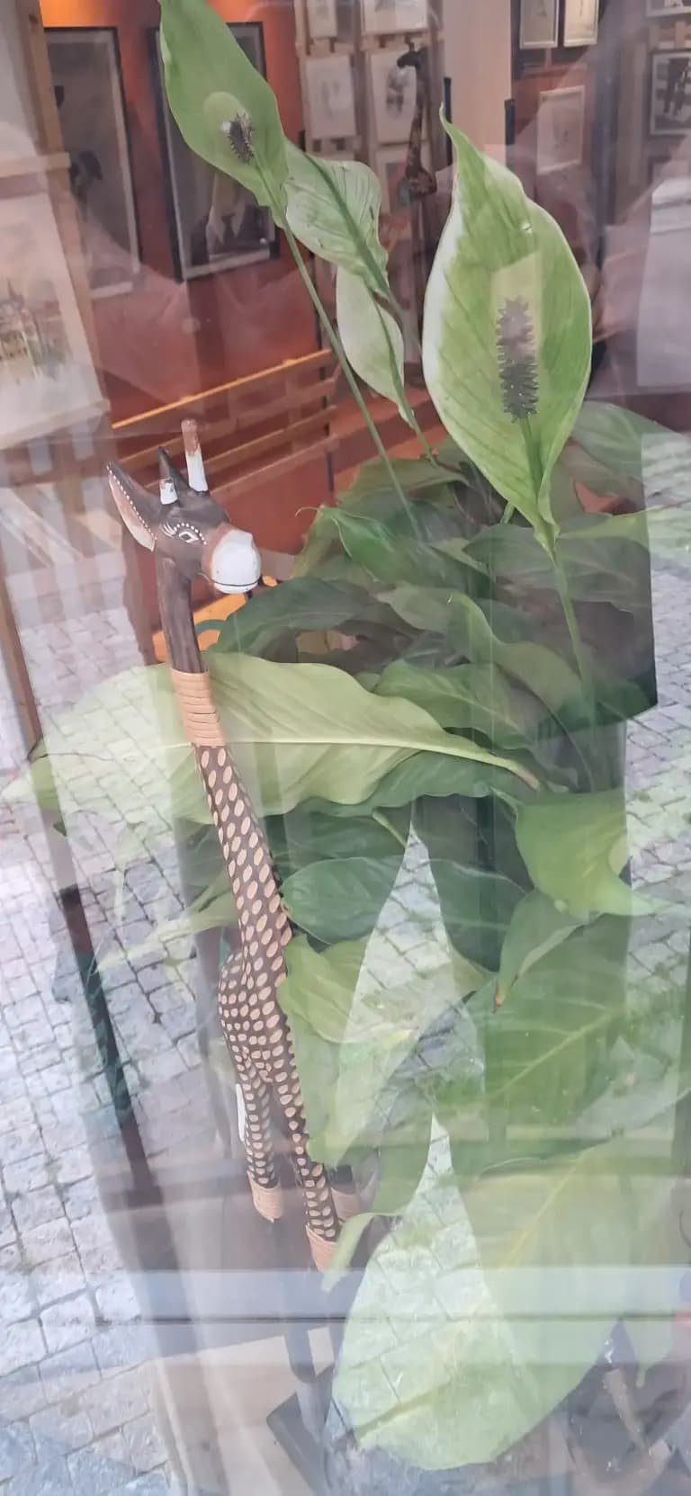 Hidden Giraffe café — Giraffe 2
