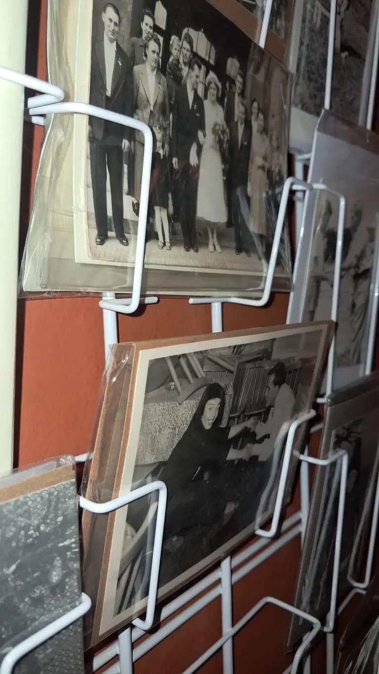 Hidden Giraffe café — Pic1